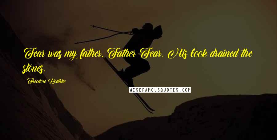 Theodore Roethke Quotes: Fear was my father, Father Fear. His look drained the stones.
