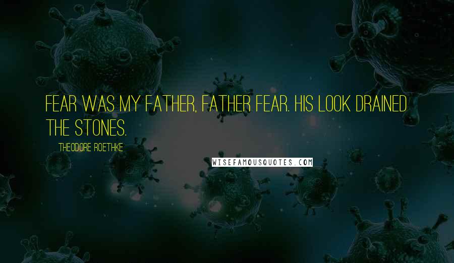 Theodore Roethke Quotes: Fear was my father, Father Fear. His look drained the stones.