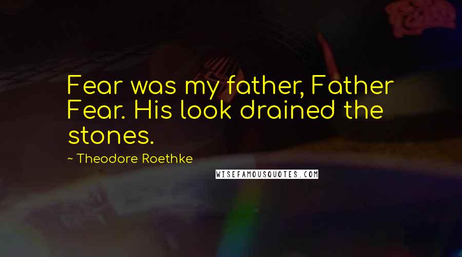 Theodore Roethke Quotes: Fear was my father, Father Fear. His look drained the stones.