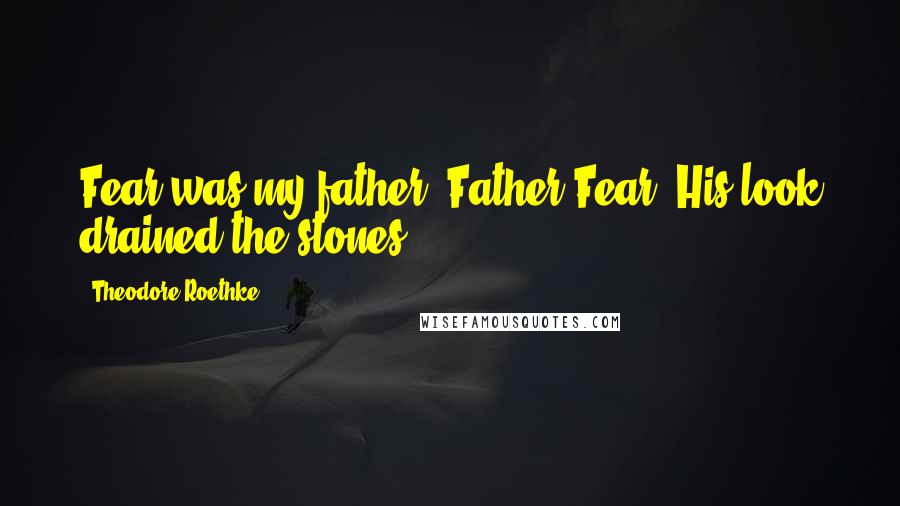 Theodore Roethke Quotes: Fear was my father, Father Fear. His look drained the stones.