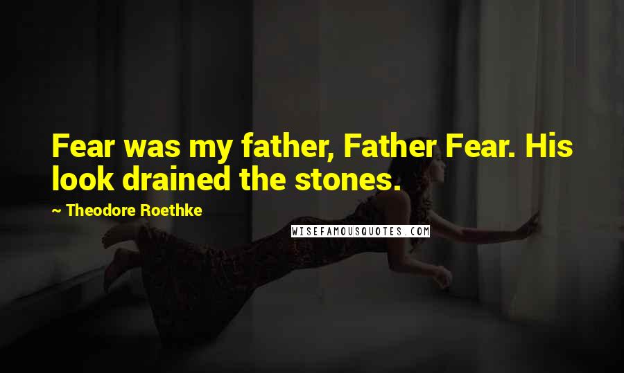 Theodore Roethke Quotes: Fear was my father, Father Fear. His look drained the stones.