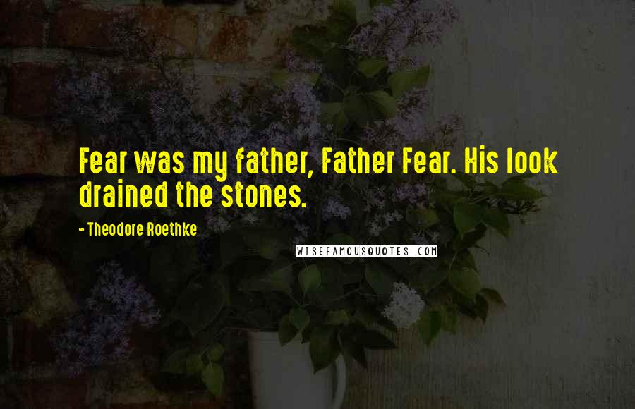 Theodore Roethke Quotes: Fear was my father, Father Fear. His look drained the stones.
