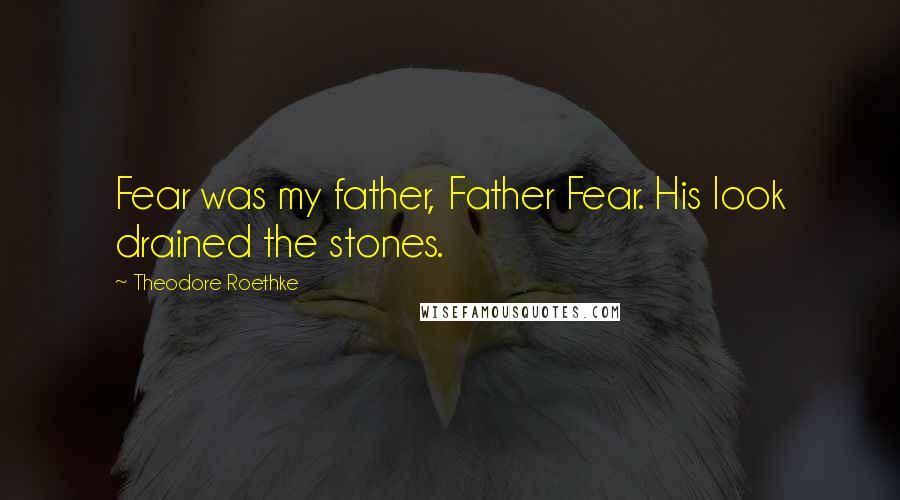 Theodore Roethke Quotes: Fear was my father, Father Fear. His look drained the stones.