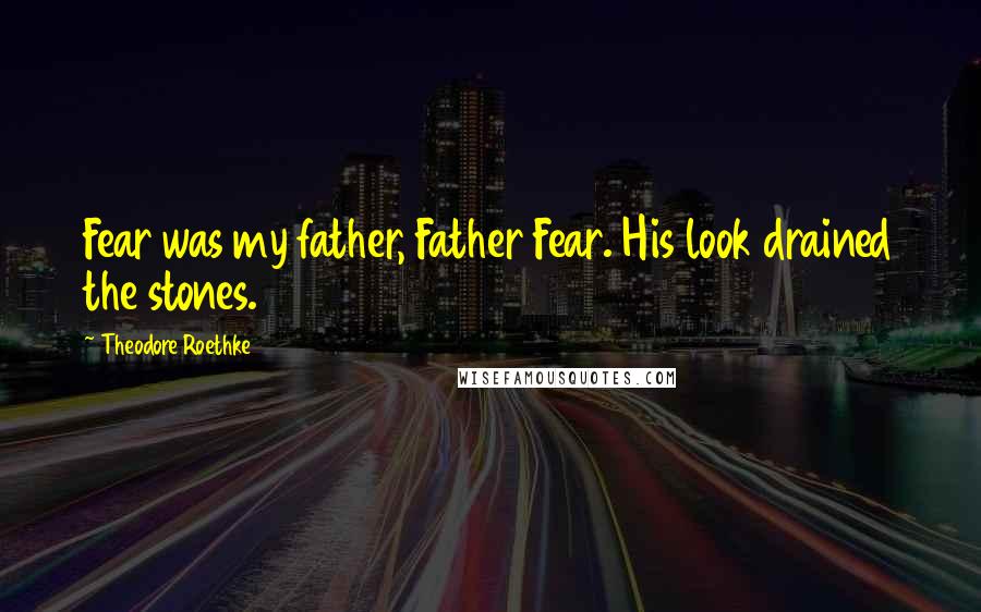 Theodore Roethke Quotes: Fear was my father, Father Fear. His look drained the stones.