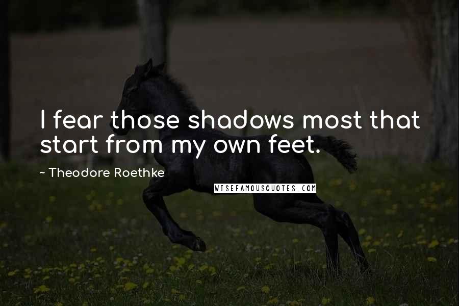 Theodore Roethke Quotes: I fear those shadows most that start from my own feet.