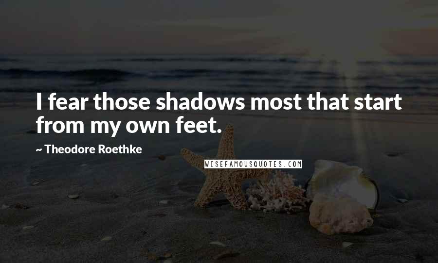 Theodore Roethke Quotes: I fear those shadows most that start from my own feet.