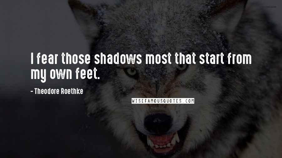 Theodore Roethke Quotes: I fear those shadows most that start from my own feet.