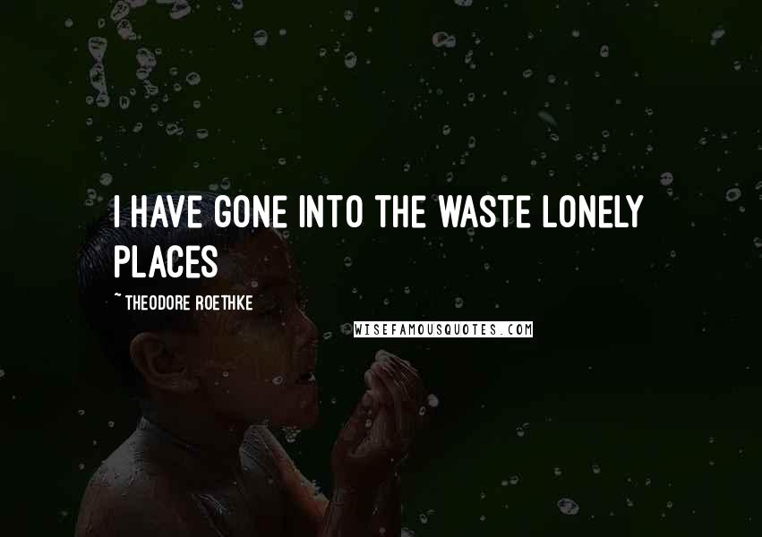 Theodore Roethke Quotes: I have gone into the waste lonely places