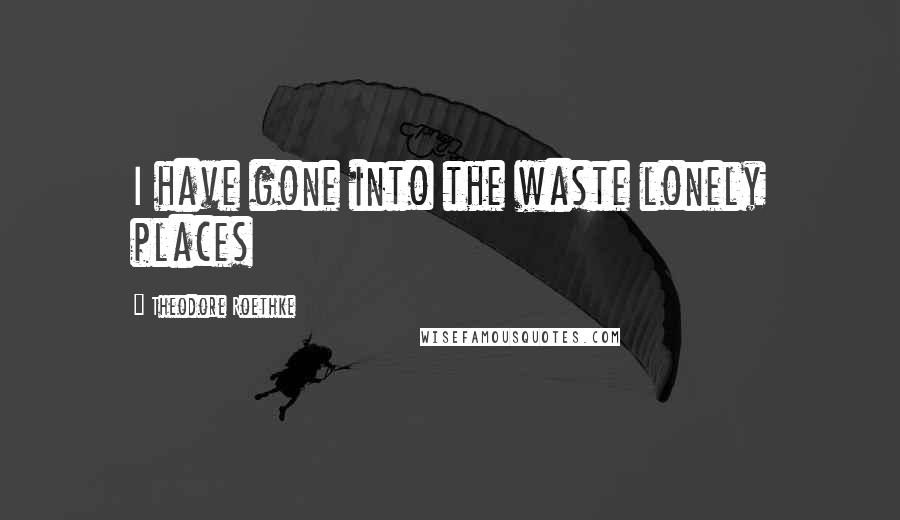 Theodore Roethke Quotes: I have gone into the waste lonely places