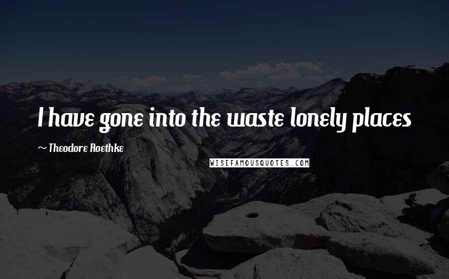 Theodore Roethke Quotes: I have gone into the waste lonely places