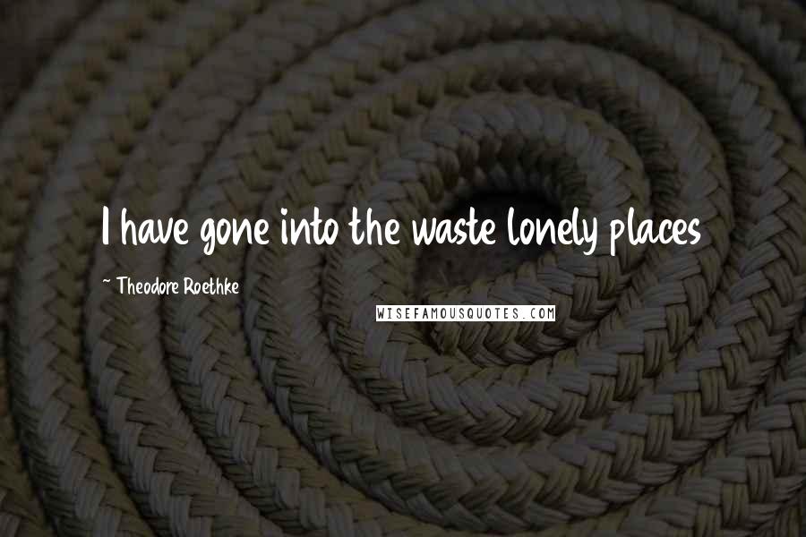 Theodore Roethke Quotes: I have gone into the waste lonely places