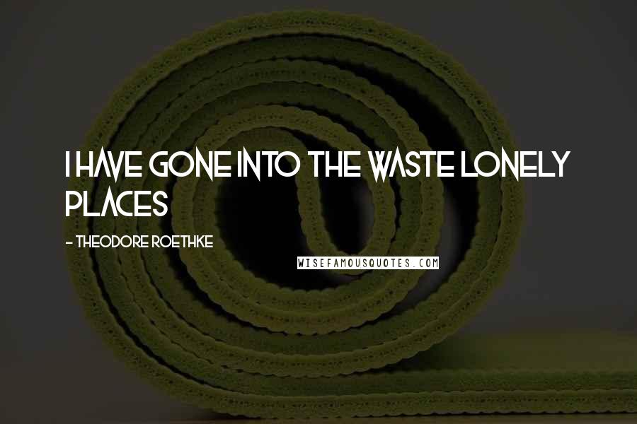 Theodore Roethke Quotes: I have gone into the waste lonely places