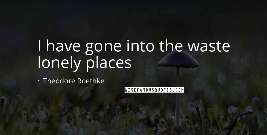 Theodore Roethke Quotes: I have gone into the waste lonely places