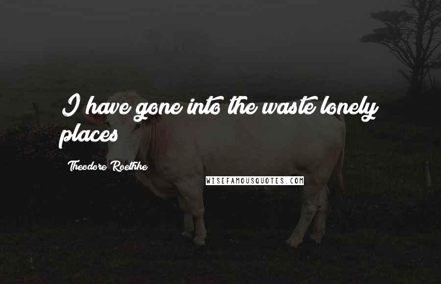 Theodore Roethke Quotes: I have gone into the waste lonely places