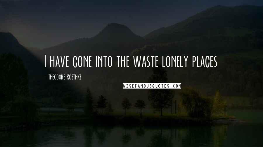 Theodore Roethke Quotes: I have gone into the waste lonely places