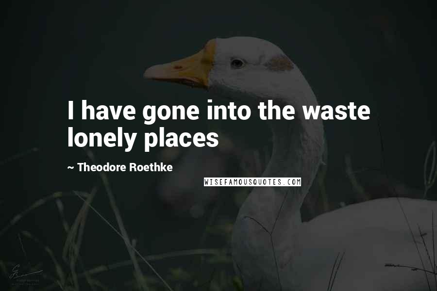 Theodore Roethke Quotes: I have gone into the waste lonely places