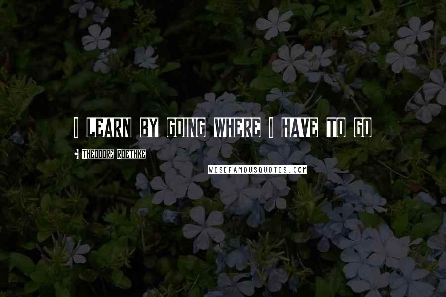 Theodore Roethke Quotes: I learn by going where I have to go