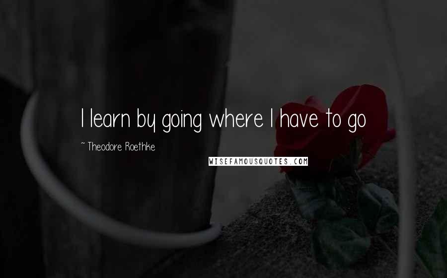 Theodore Roethke Quotes: I learn by going where I have to go