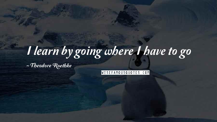Theodore Roethke Quotes: I learn by going where I have to go