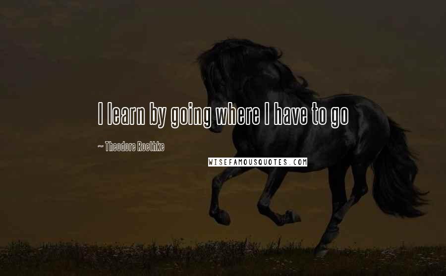 Theodore Roethke Quotes: I learn by going where I have to go