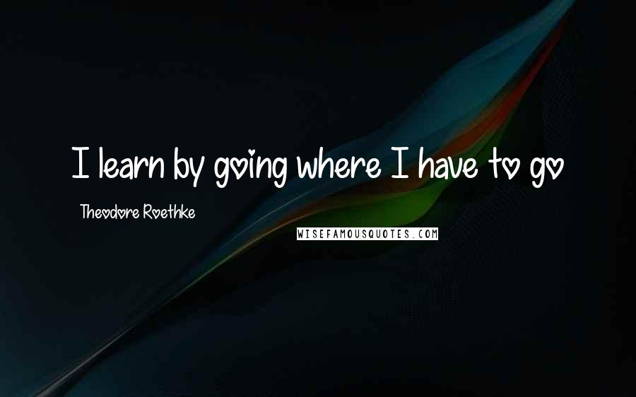 Theodore Roethke Quotes: I learn by going where I have to go