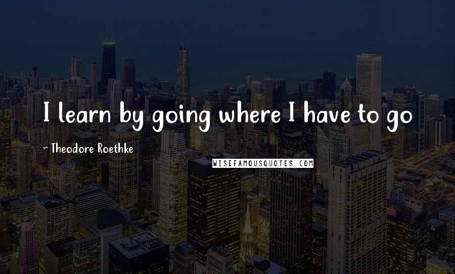 Theodore Roethke Quotes: I learn by going where I have to go
