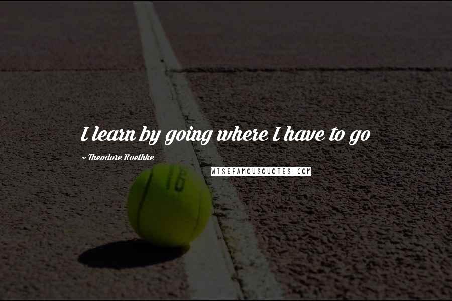 Theodore Roethke Quotes: I learn by going where I have to go