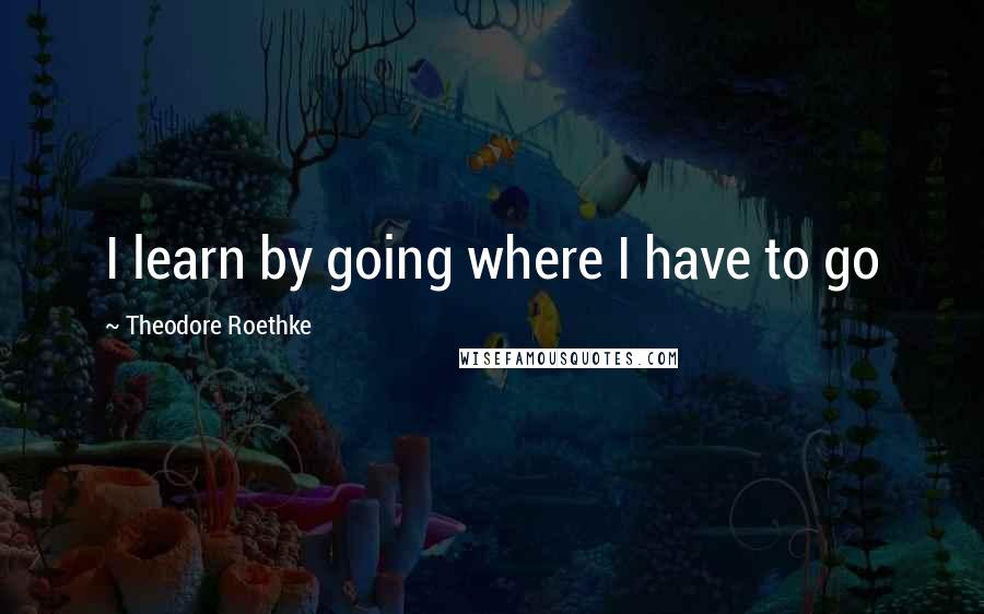 Theodore Roethke Quotes: I learn by going where I have to go