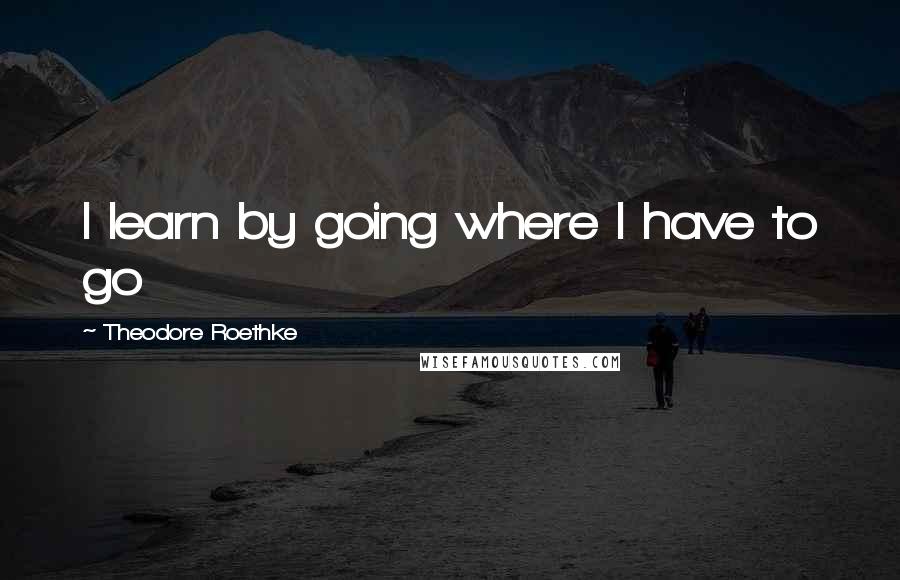 Theodore Roethke Quotes: I learn by going where I have to go