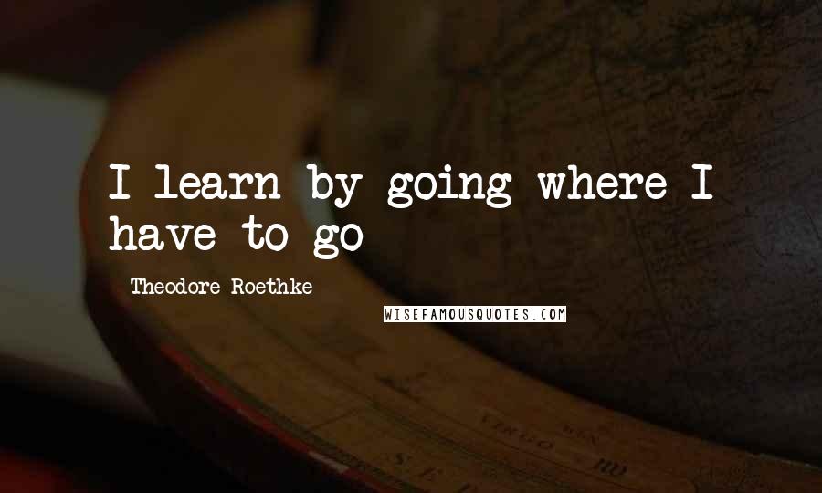 Theodore Roethke Quotes: I learn by going where I have to go