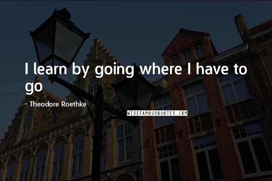 Theodore Roethke Quotes: I learn by going where I have to go
