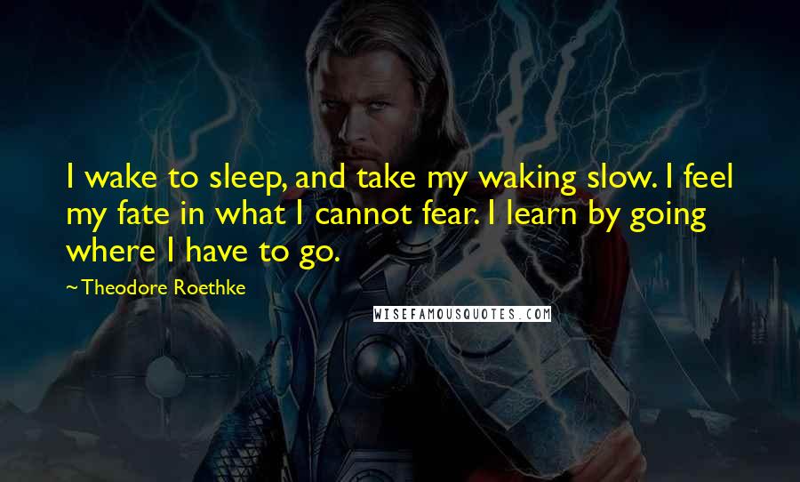 Theodore Roethke Quotes: I wake to sleep, and take my waking slow. I feel my fate in what I cannot fear. I learn by going where I have to go.