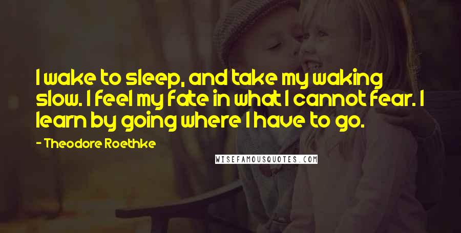 Theodore Roethke Quotes: I wake to sleep, and take my waking slow. I feel my fate in what I cannot fear. I learn by going where I have to go.