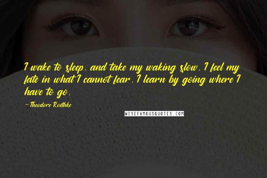 Theodore Roethke Quotes: I wake to sleep, and take my waking slow. I feel my fate in what I cannot fear. I learn by going where I have to go.