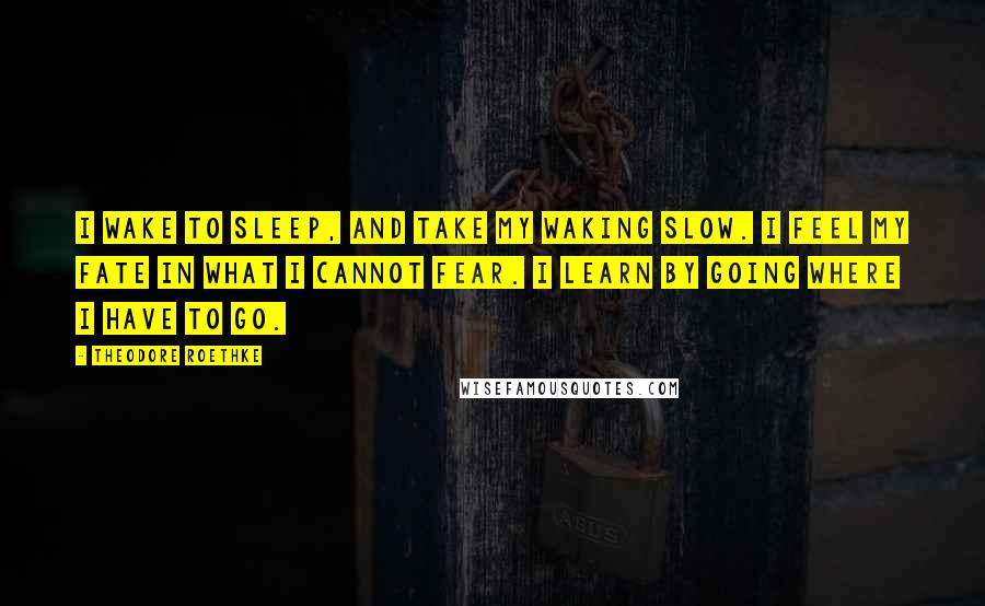 Theodore Roethke Quotes: I wake to sleep, and take my waking slow. I feel my fate in what I cannot fear. I learn by going where I have to go.