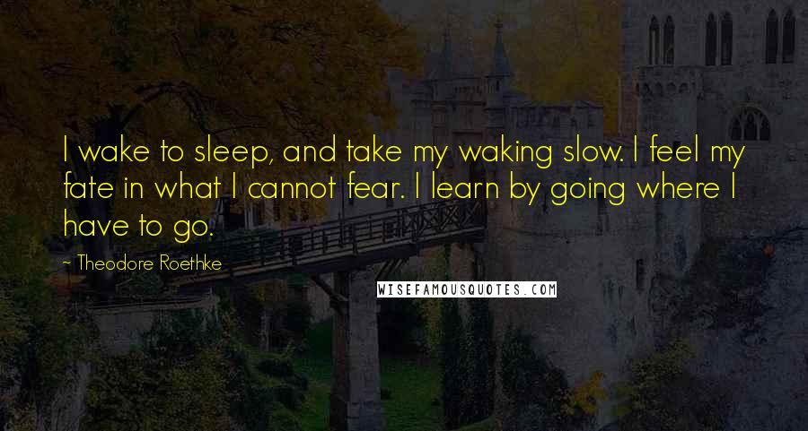 Theodore Roethke Quotes: I wake to sleep, and take my waking slow. I feel my fate in what I cannot fear. I learn by going where I have to go.