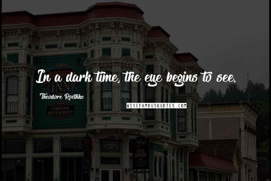 Theodore Roethke Quotes: In a dark time, the eye begins to see.