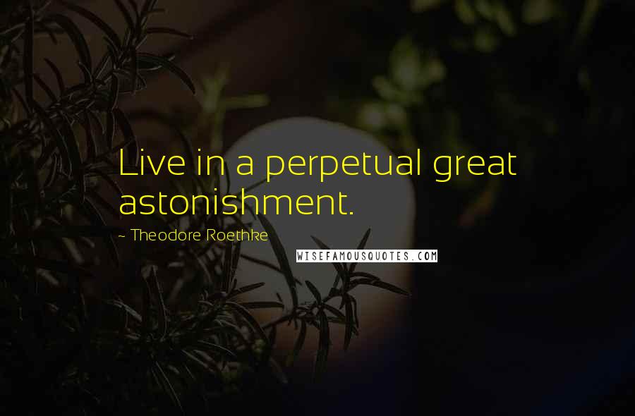 Theodore Roethke Quotes: Live in a perpetual great astonishment.