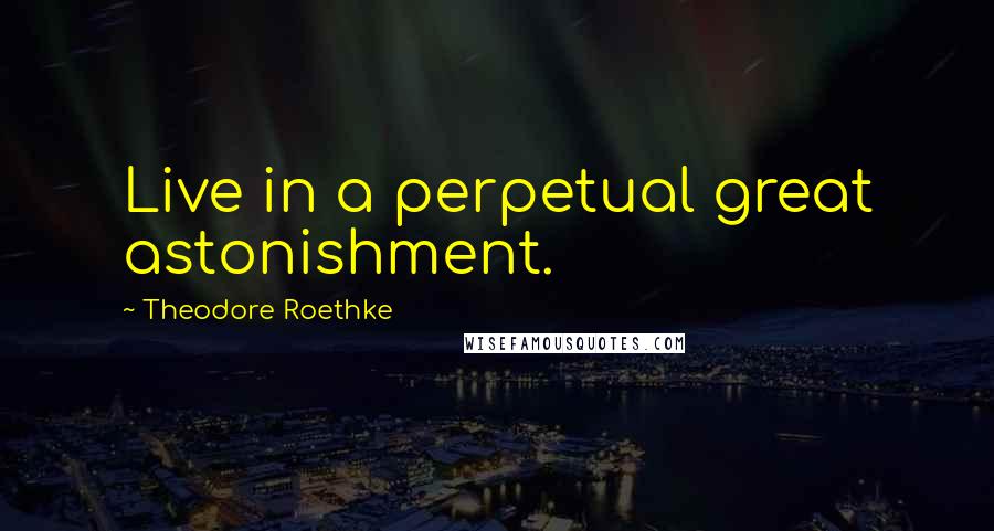 Theodore Roethke Quotes: Live in a perpetual great astonishment.