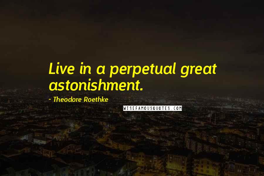 Theodore Roethke Quotes: Live in a perpetual great astonishment.