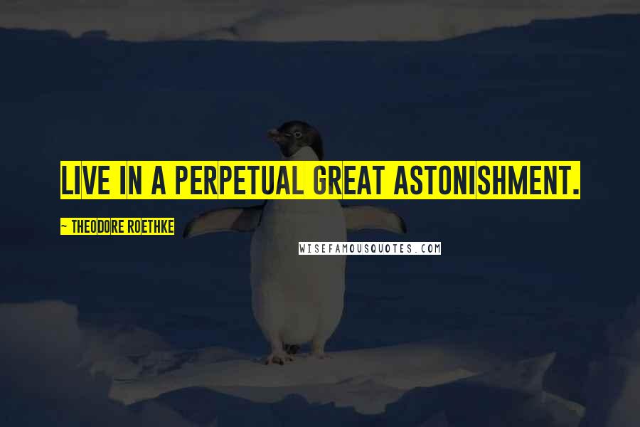 Theodore Roethke Quotes: Live in a perpetual great astonishment.