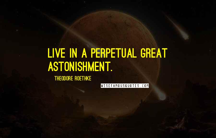 Theodore Roethke Quotes: Live in a perpetual great astonishment.