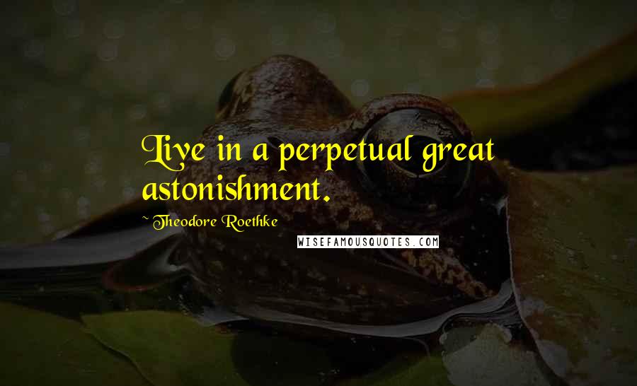 Theodore Roethke Quotes: Live in a perpetual great astonishment.