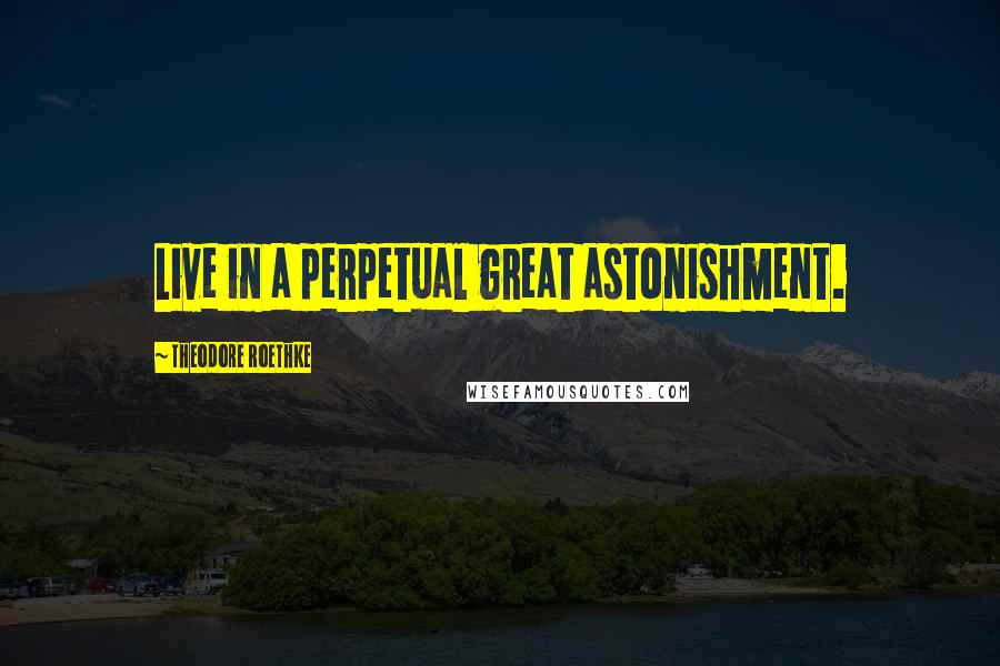 Theodore Roethke Quotes: Live in a perpetual great astonishment.