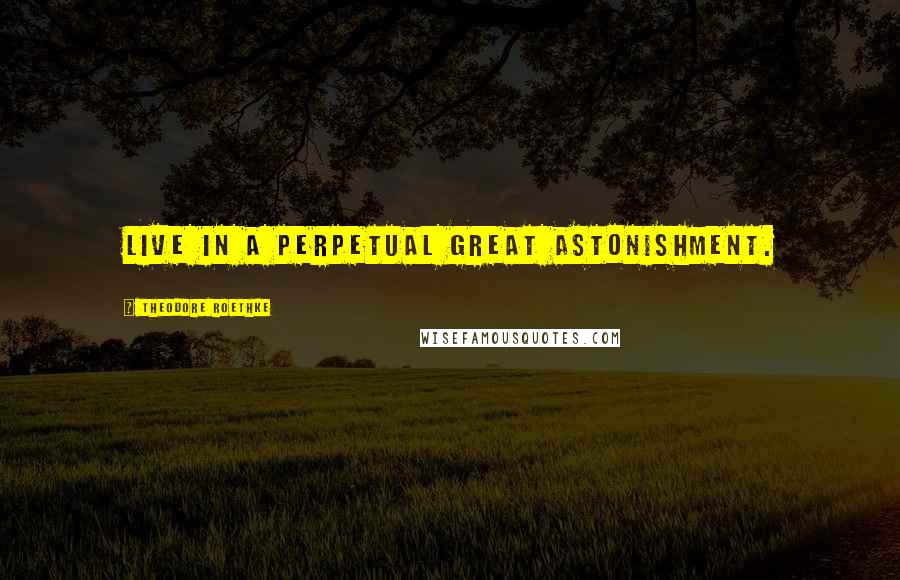 Theodore Roethke Quotes: Live in a perpetual great astonishment.