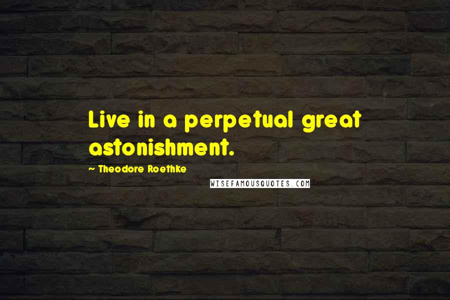 Theodore Roethke Quotes: Live in a perpetual great astonishment.