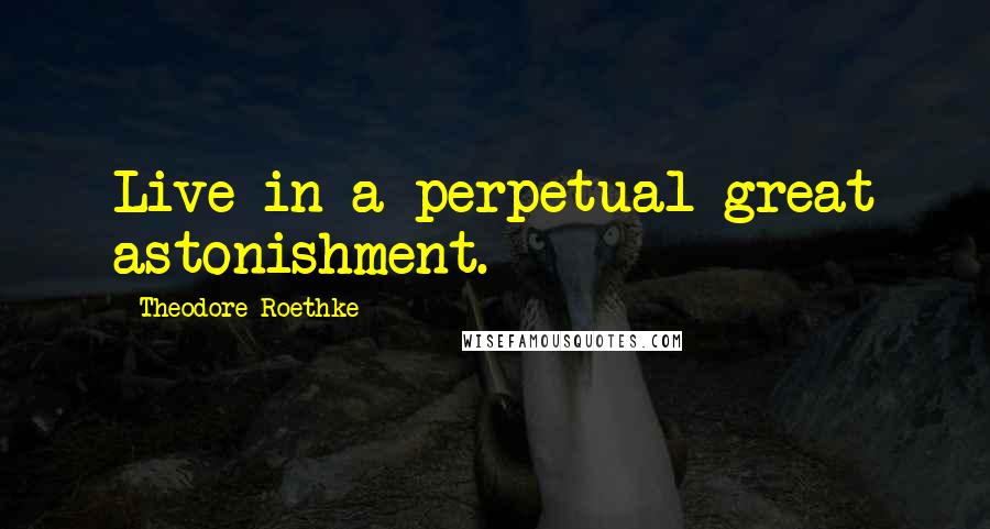 Theodore Roethke Quotes: Live in a perpetual great astonishment.