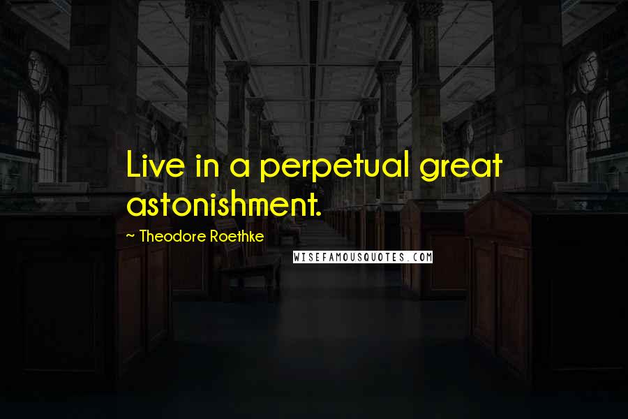 Theodore Roethke Quotes: Live in a perpetual great astonishment.