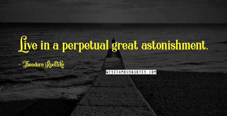 Theodore Roethke Quotes: Live in a perpetual great astonishment.