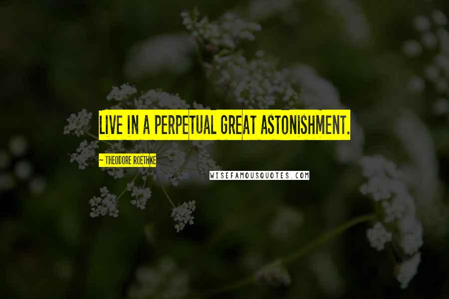 Theodore Roethke Quotes: Live in a perpetual great astonishment.